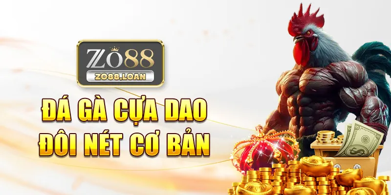 Đá gà cựa dao - đôi nét cơ bản