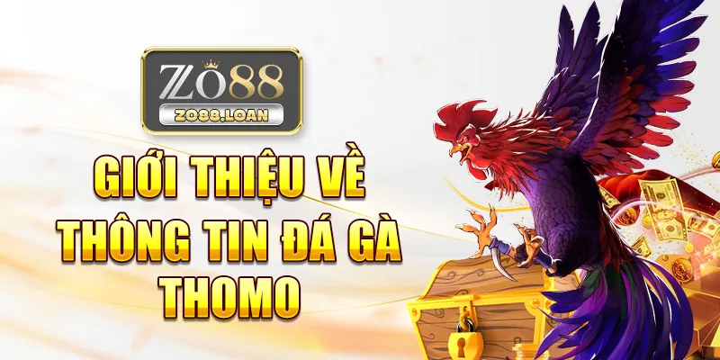 Giới thiệu về thông tin Đá gà Thomo